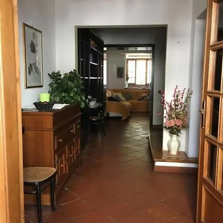 Lovely 5 Bedrooms Viareggina, With Garden Lejlighed *