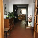 Lovely 5 Bedrooms Viareggina, With Garden Apartment *