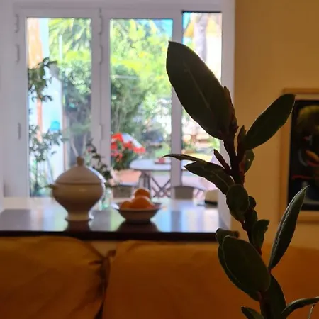 Lovely 5 Bedrooms Viareggina, With Garden *