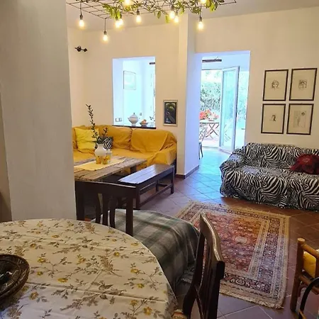 Lovely 5 Bedrooms Viareggina, With Garden