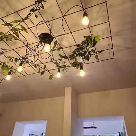 Lovely 5 Bedrooms Viareggina, With Garden Appartamento *